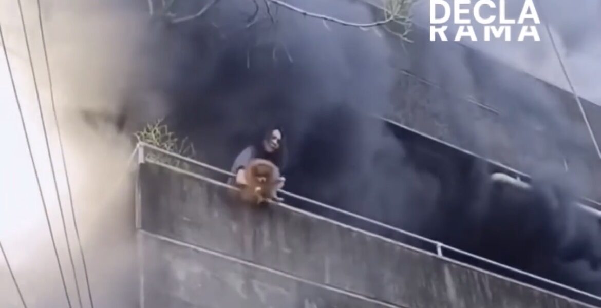 Incendie Elle sauve d’abord ses animaux avant d’échapper
