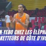 Kevin YEBO chez les éléphants