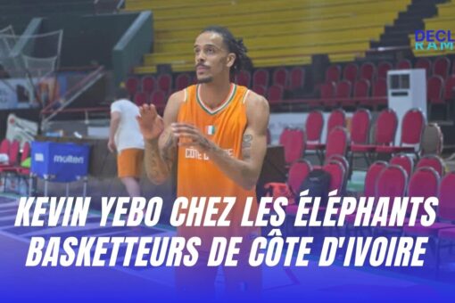 Kevin YEBO chez les éléphants